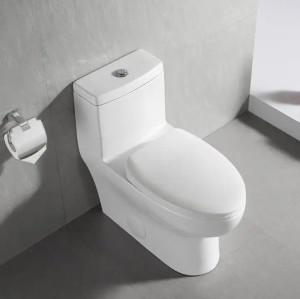 One-Piece Toilet Soft Closing Seat Water Closet Set Sanitary Ware CUPC Ceramic Toilet