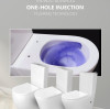 Modern Bathroom Choice Single Hole High Efficiency Toilet