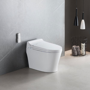 MWD factory price Bathroom Bidet washing Rear washing  Warm airdrying Remote control smart toilet for Kids mode
