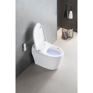 MWD factory price Bathroom Bidet washing Rear washing  Warm airdrying Remote control smart toilet for Kids mode