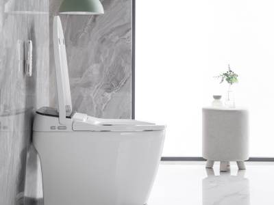 Поднимите уровень обслуживания в ванной комнате на новый уровень с помощью Movewayda Ceramics