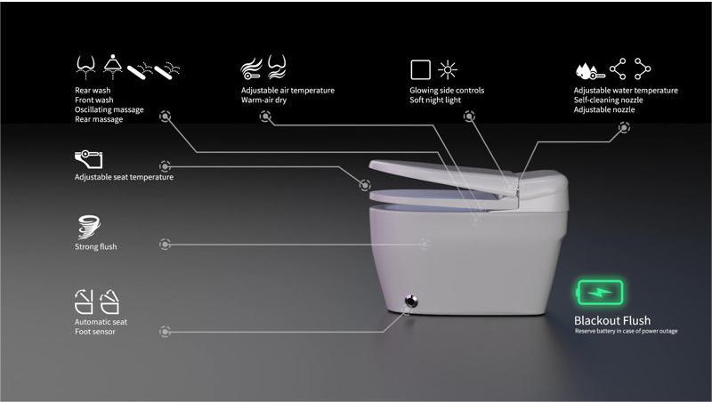 smart toilet detail