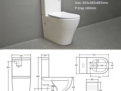 Are Tornado Toilets Rimless? Benefits and Features Explained