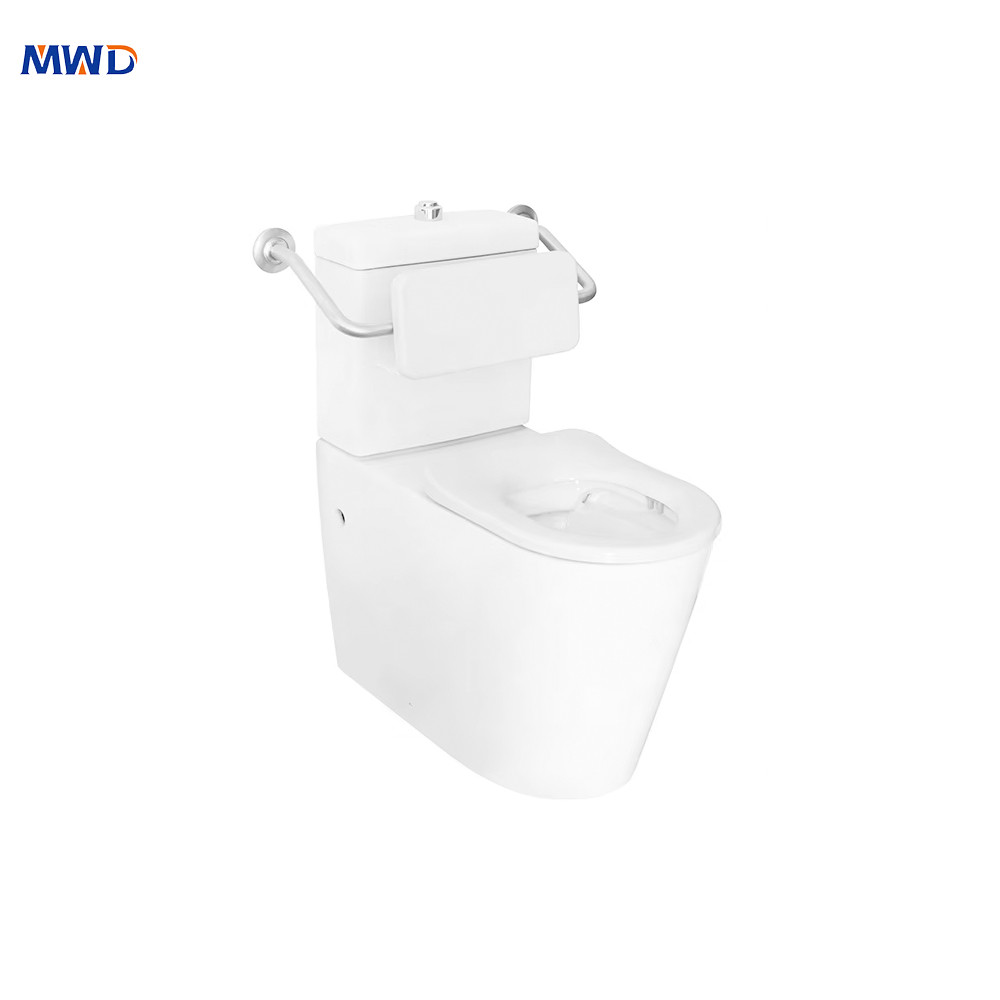 Handicap toilet