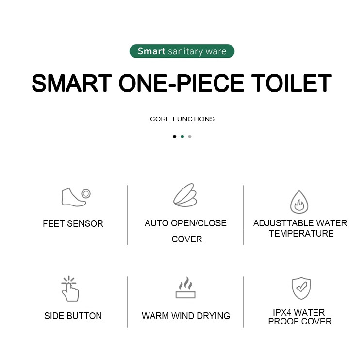 smart one piece toilet