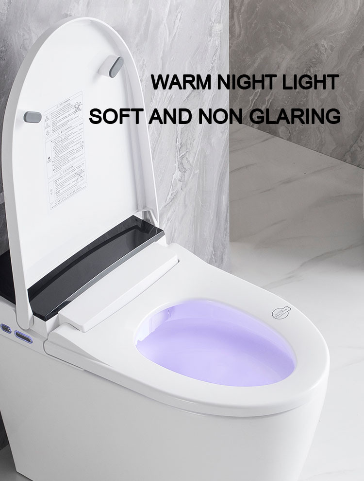 One Piece Toilet for Bathroom