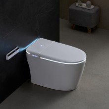 How to Choose the Perfect Smart Toilet: A Simple Guide for European Homes
