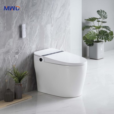 Inodoro inteligente de una pieza MWD | Solución de baño inteligente para el mercado global