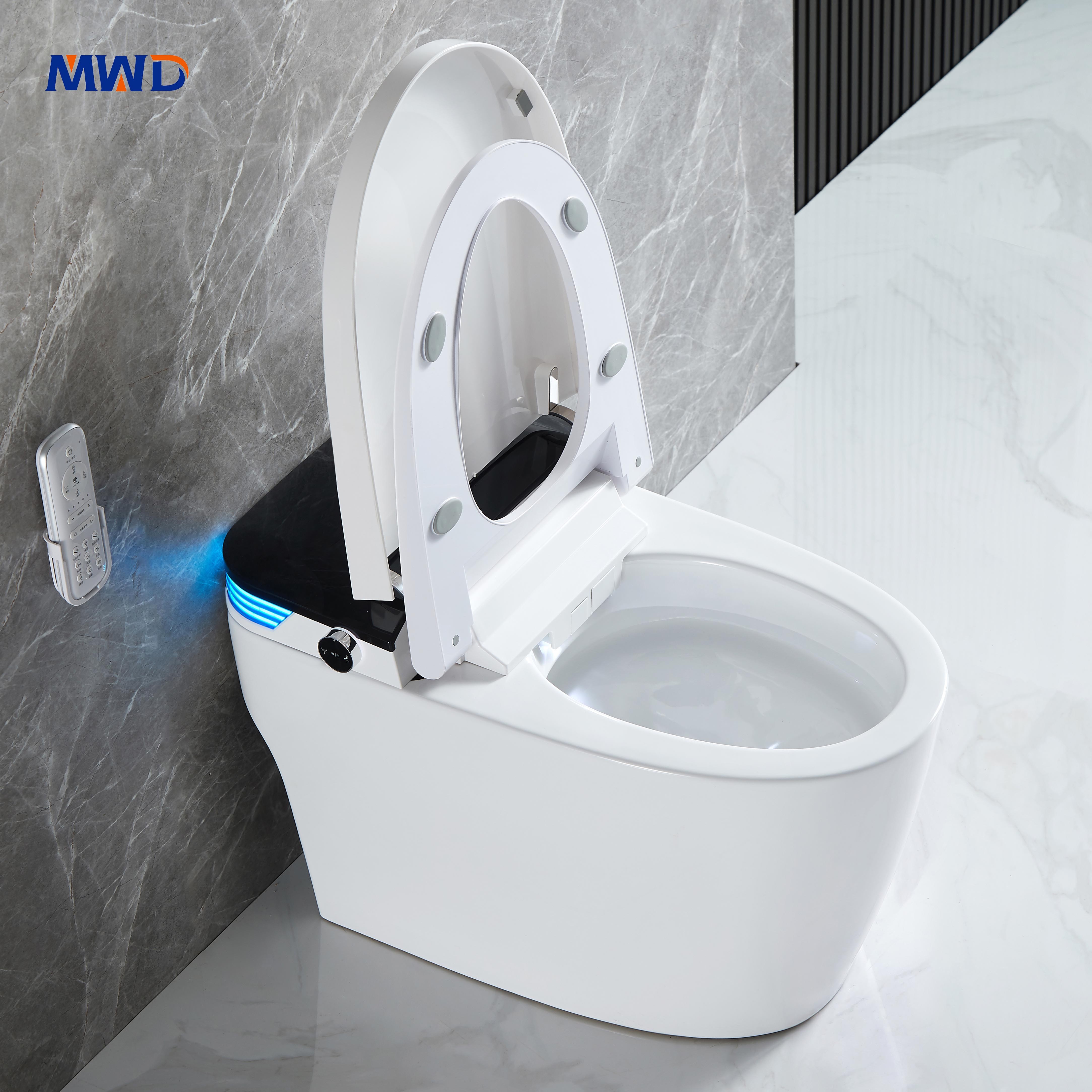 smart toilet