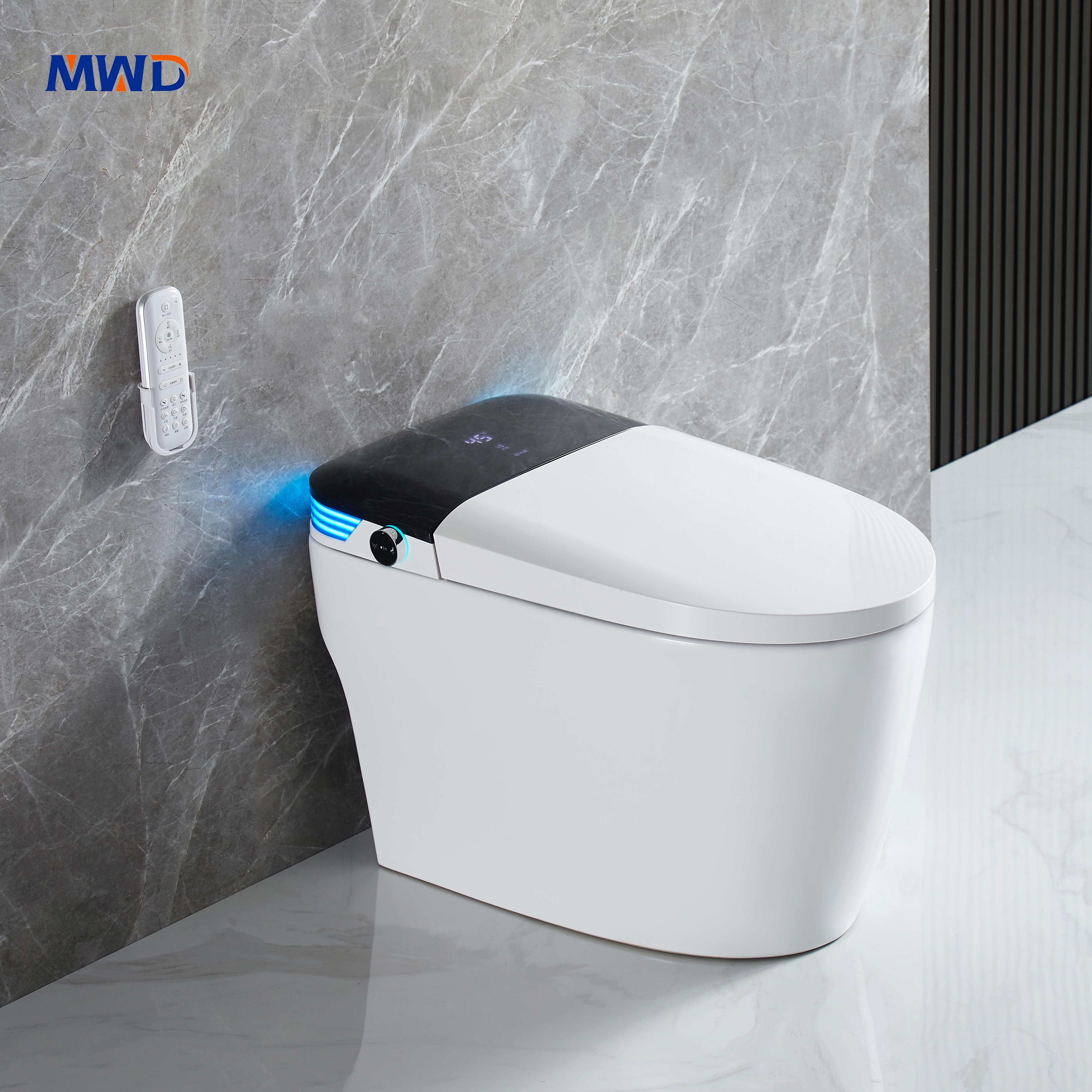 smart toilet