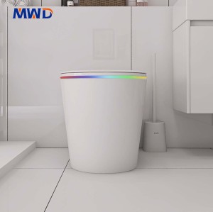 Inodoro de cerámica moderno de suelo con descarga por sifón y asiento calefactado: características avanzadas para hoteles y baños contemporáneos.
