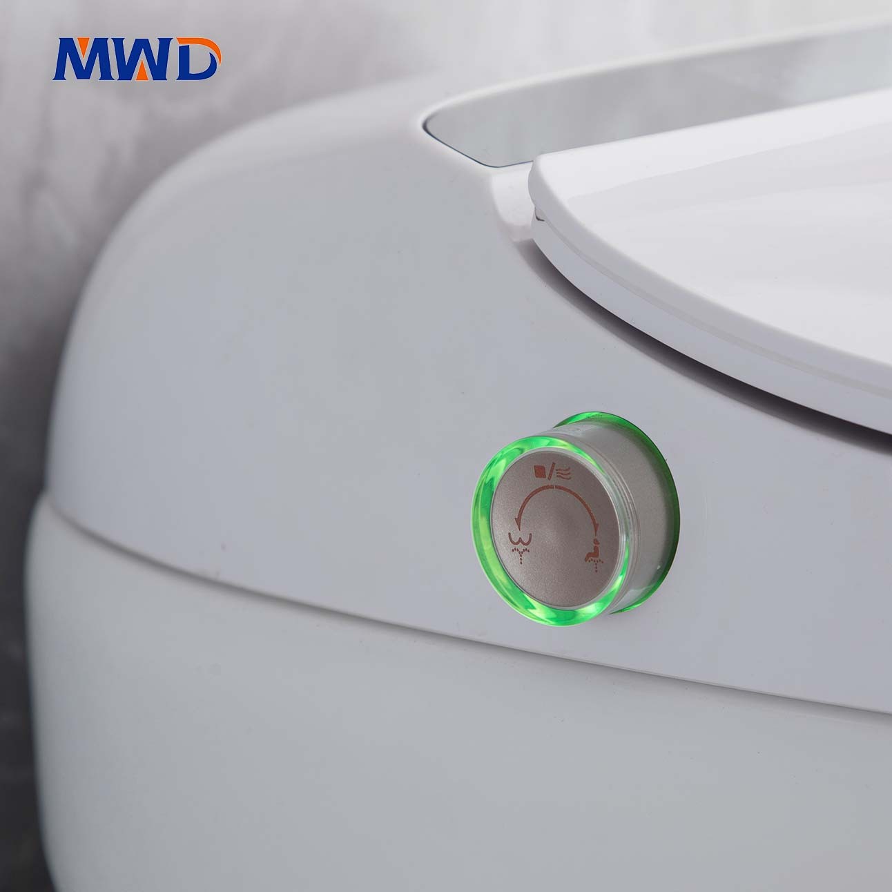 smart toilet
