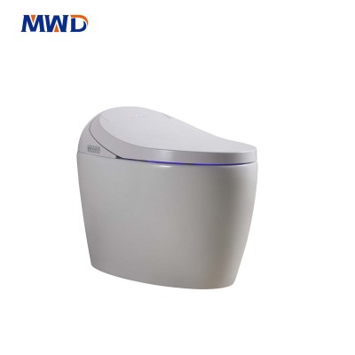 Inodoro inteligente de cerámica de una pieza MWD-CERAMICS: función de bidé, asiento calefactado, control remoto, secado con aire caliente y diseño impermeable IPX4 (110 V-220 V)