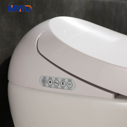 Inodoro inteligente de cerámica de una pieza MWD-CERAMICS: función de bidé, asiento calefactado, control remoto, secado con aire caliente y diseño impermeable IPX4 (110 V-220 V)