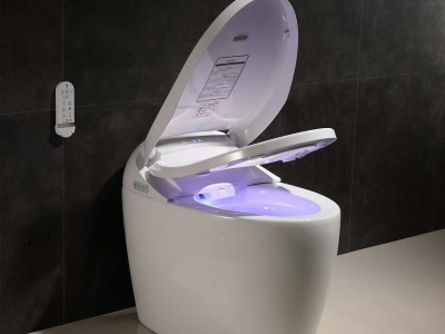 Smart Toilet Wholesale: How Commercial Suppliers Cut 30% Costs for Bathroom Renovation Projects