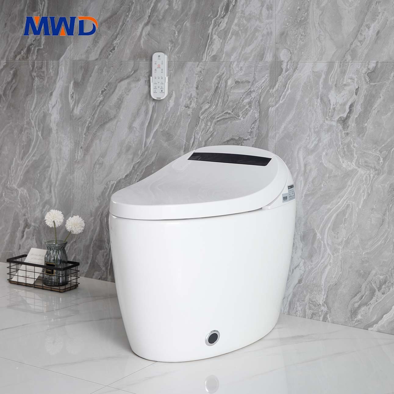 ceramics toilet