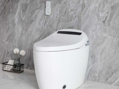 Smart Toilets: Revolutionizing Bathroom Experience with Advanced Innovation, Health Monitoring, and Sustainable Design