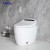 MWD-CERAMICS Smart One-Piece Toilet with Bidet, Heated Seat, Remote Control & Auto Flush | Siphon Flushing | IPX4 Waterproof