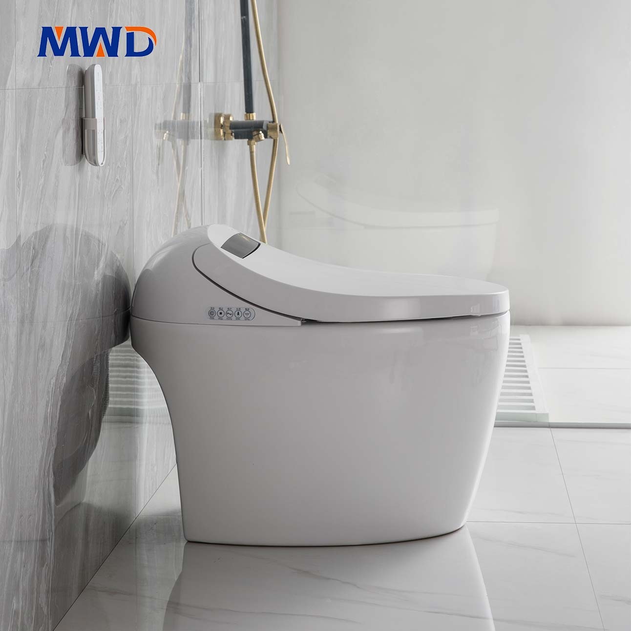 smart toilet