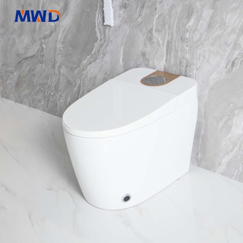Inodoro inteligente de una pieza MWD-CERAMICS | Inodoro bidé cerámico avanzado con todas las funciones