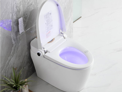 Embrace the Future: How Smart Toilets Are Revolutionizing Bathroom Hygiene and Comfort