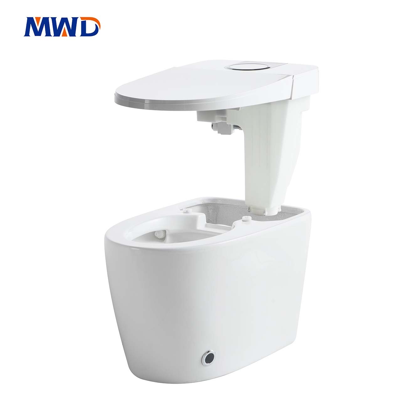 smart toilet