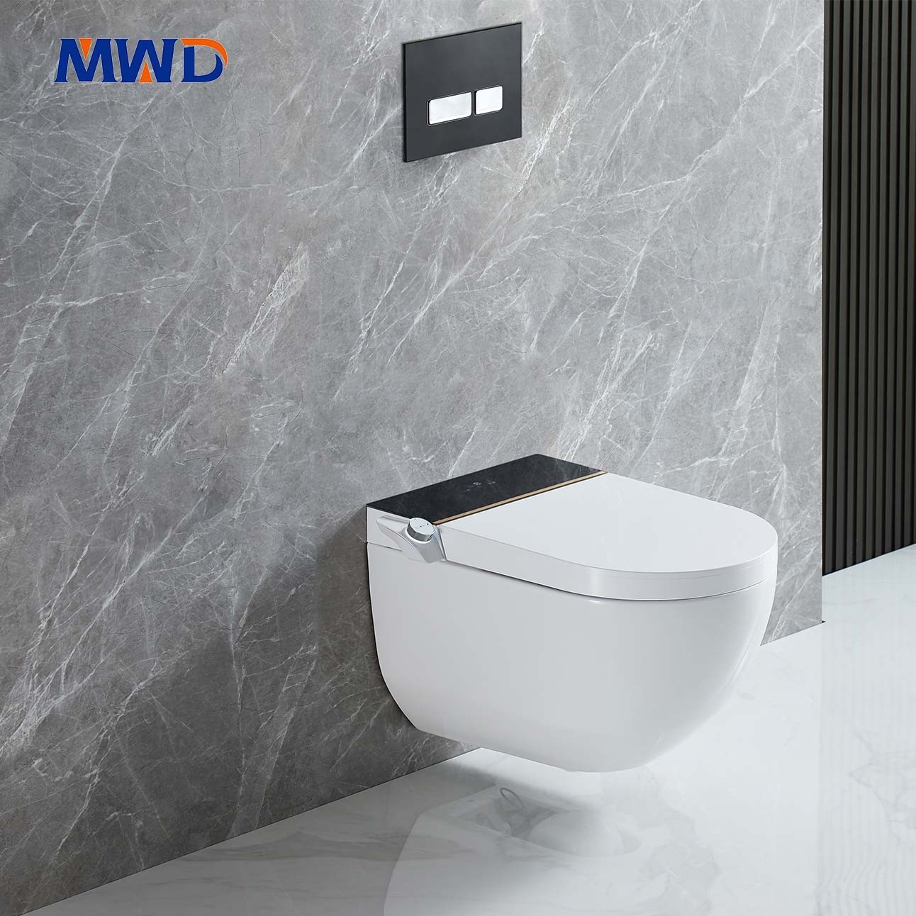 automatic flush toilet,