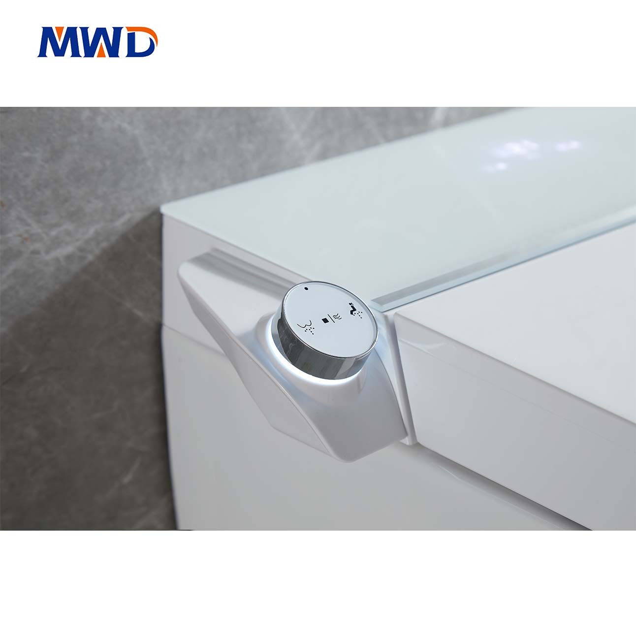 smart toilet
