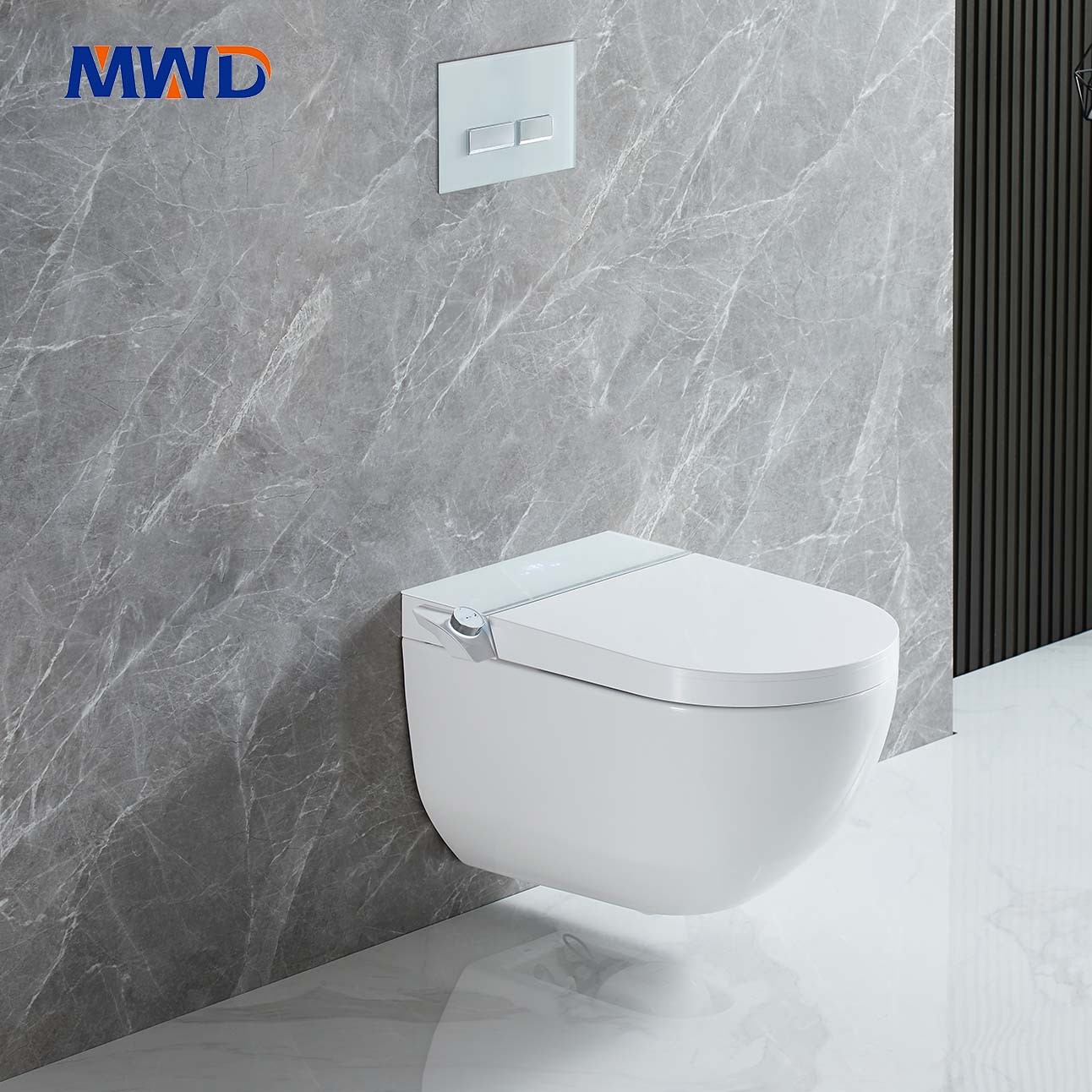 wall-hung toilet