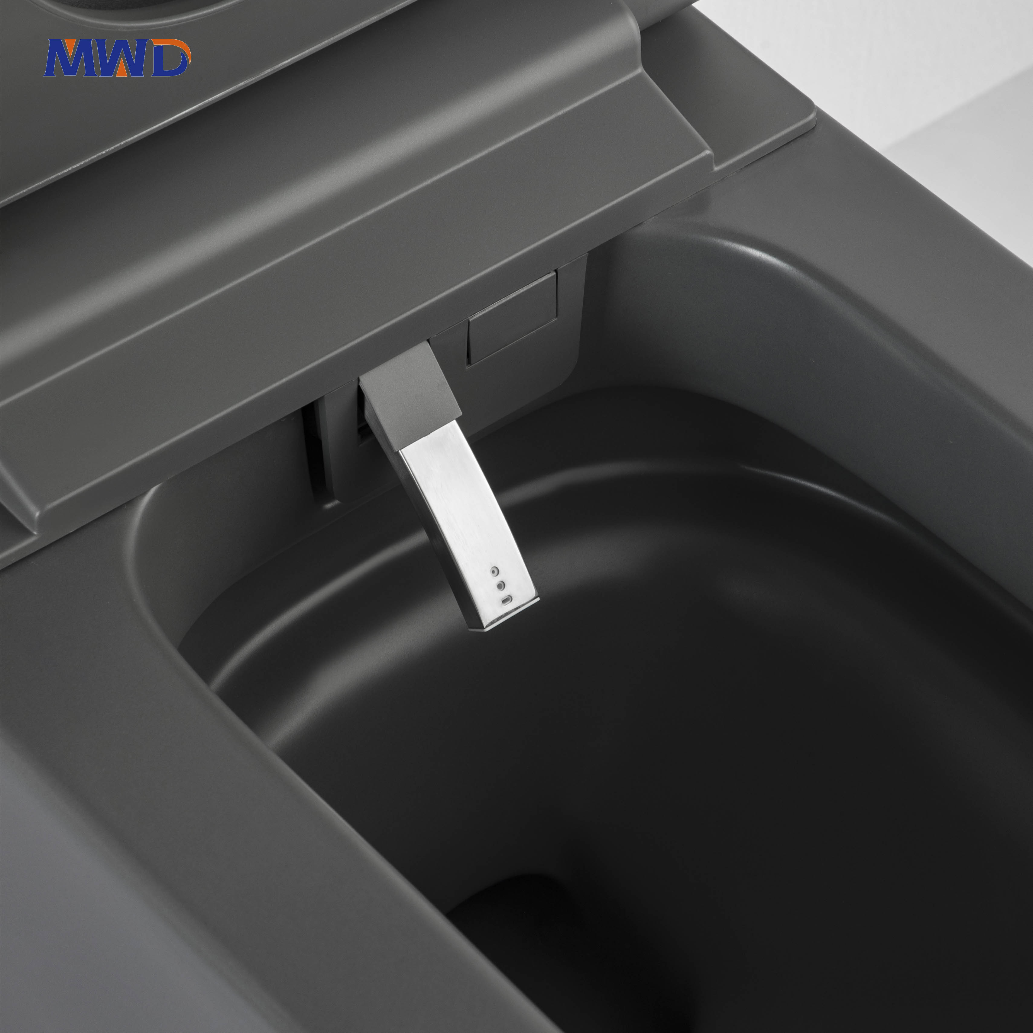 bidet toilet