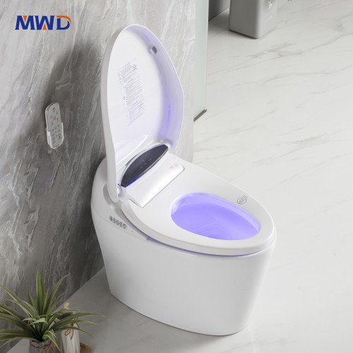 MWD-CERAMICS ST2309 Smart One-Piece Toilet | Heated, Bidet, Remote-Controlled, Siphon Flush
