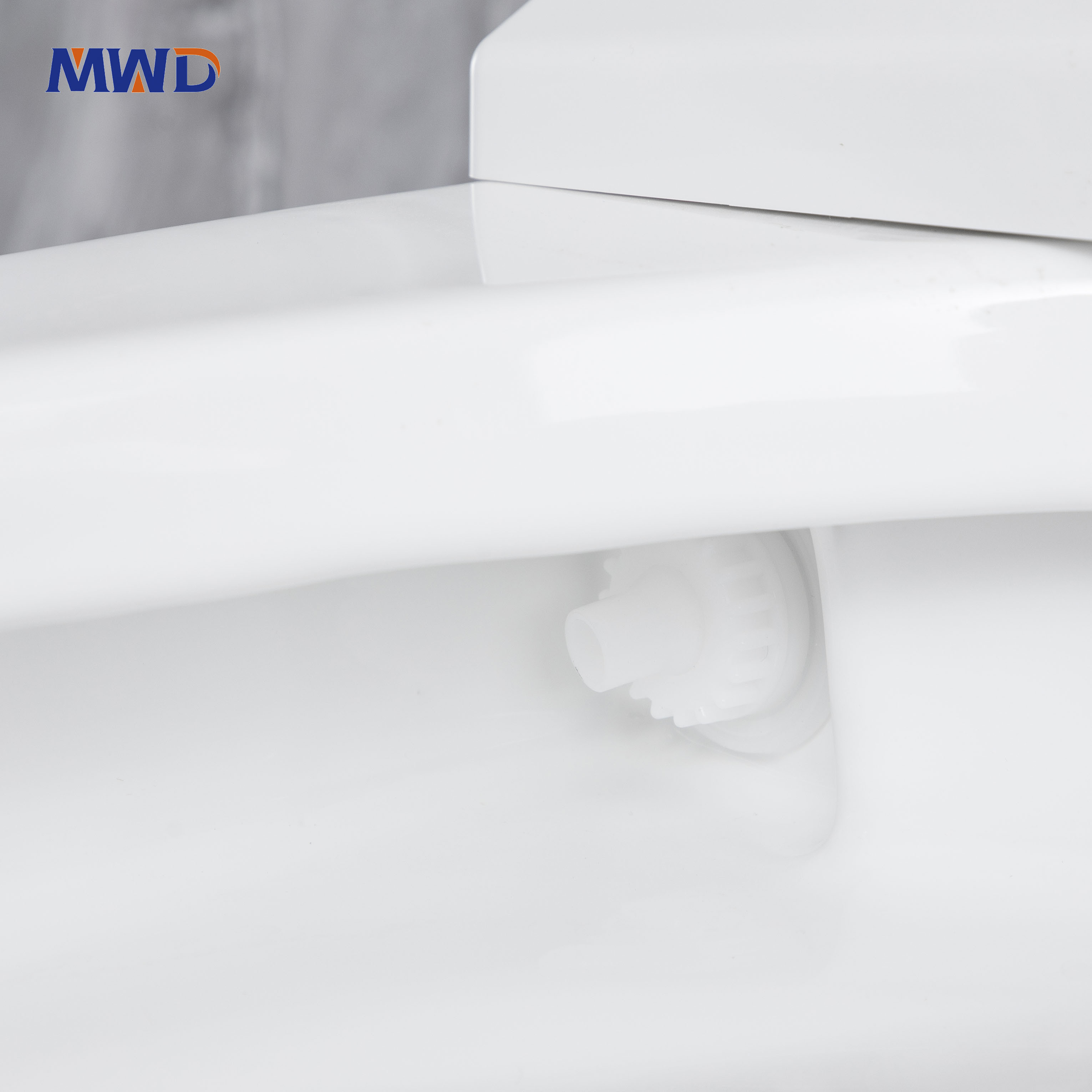 siphon toilet