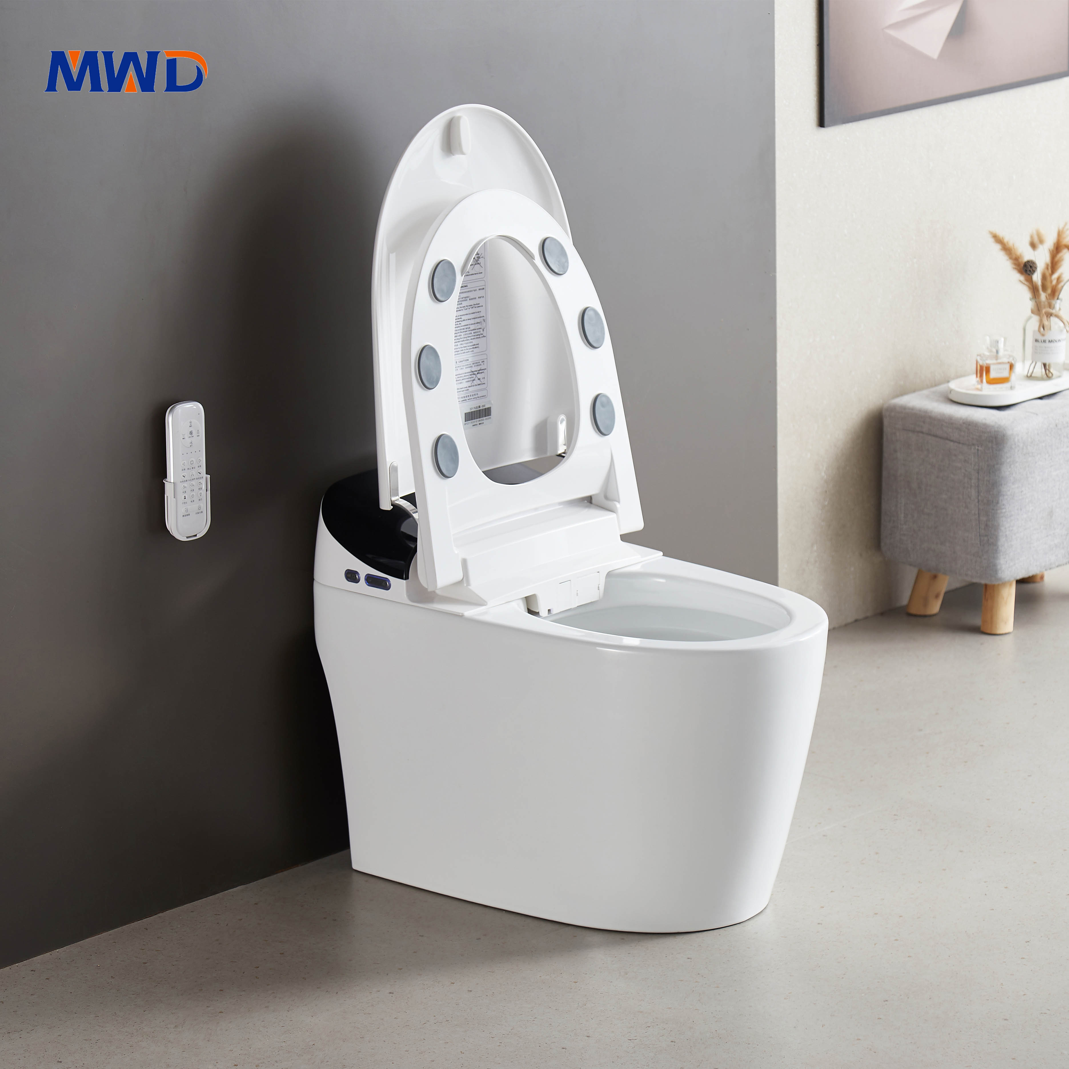 smart one-piece toilet