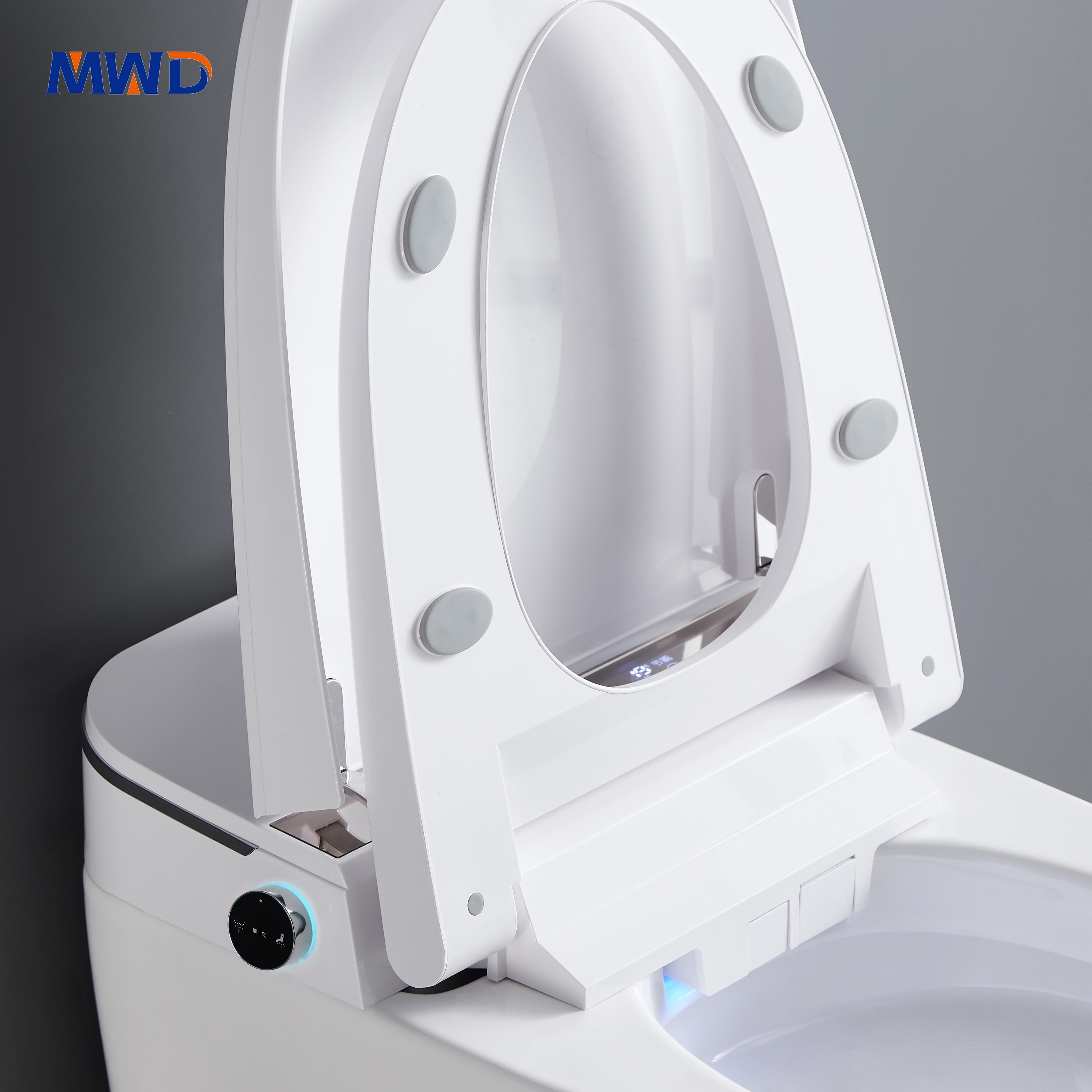 smart toilet