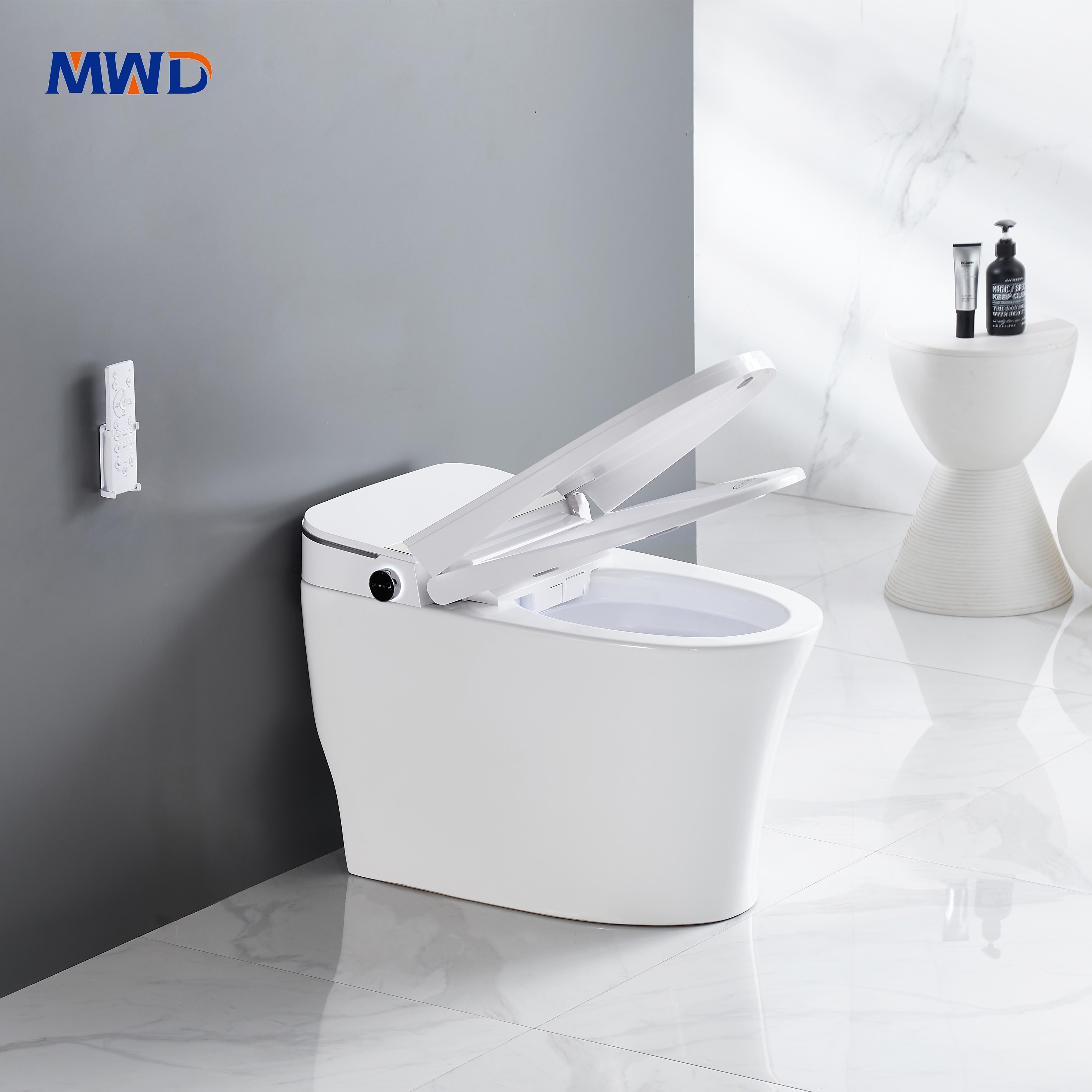 smart toilet