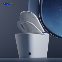 Understanding Ceramic Toilets: A Practical Guide for Project Buyers