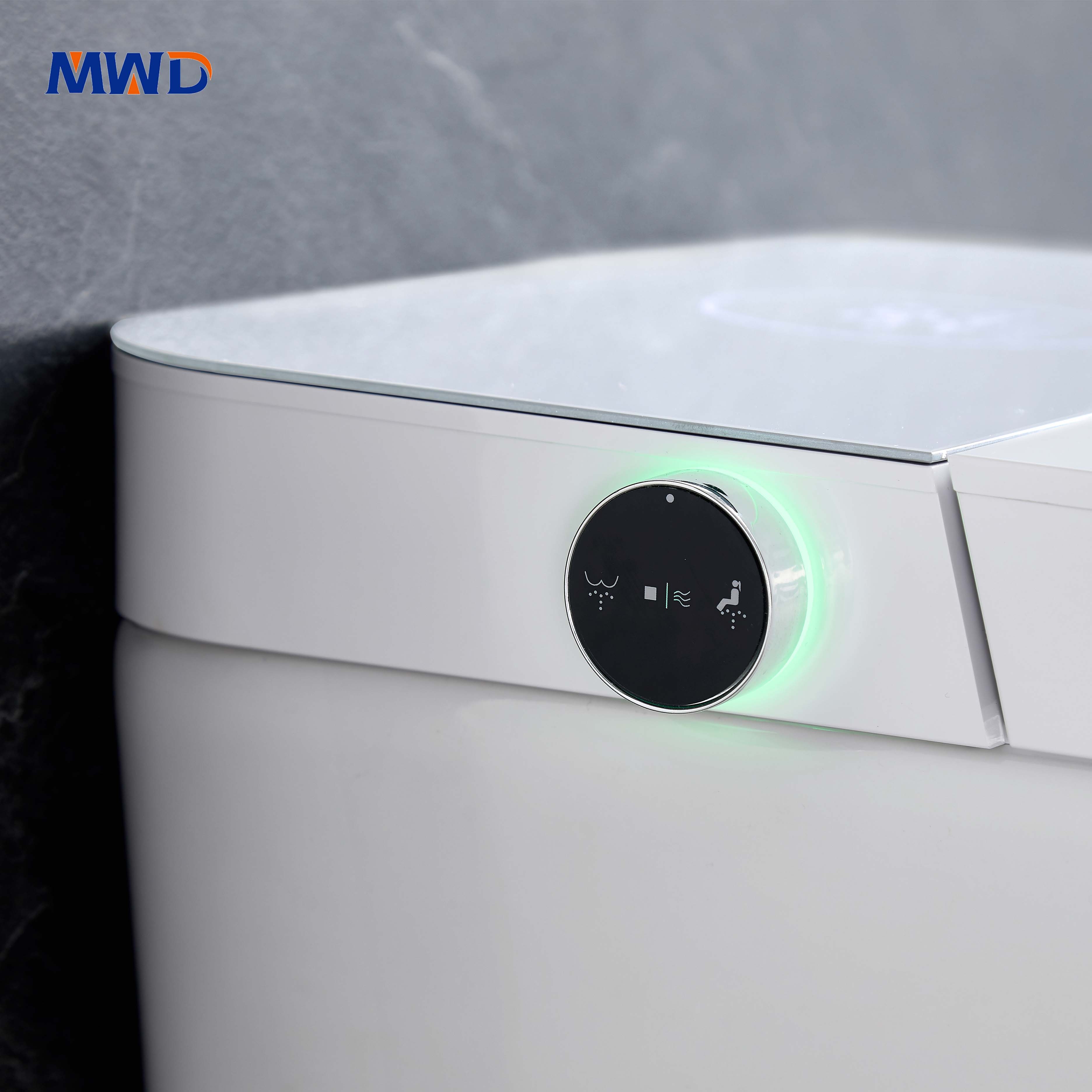 smart toilet