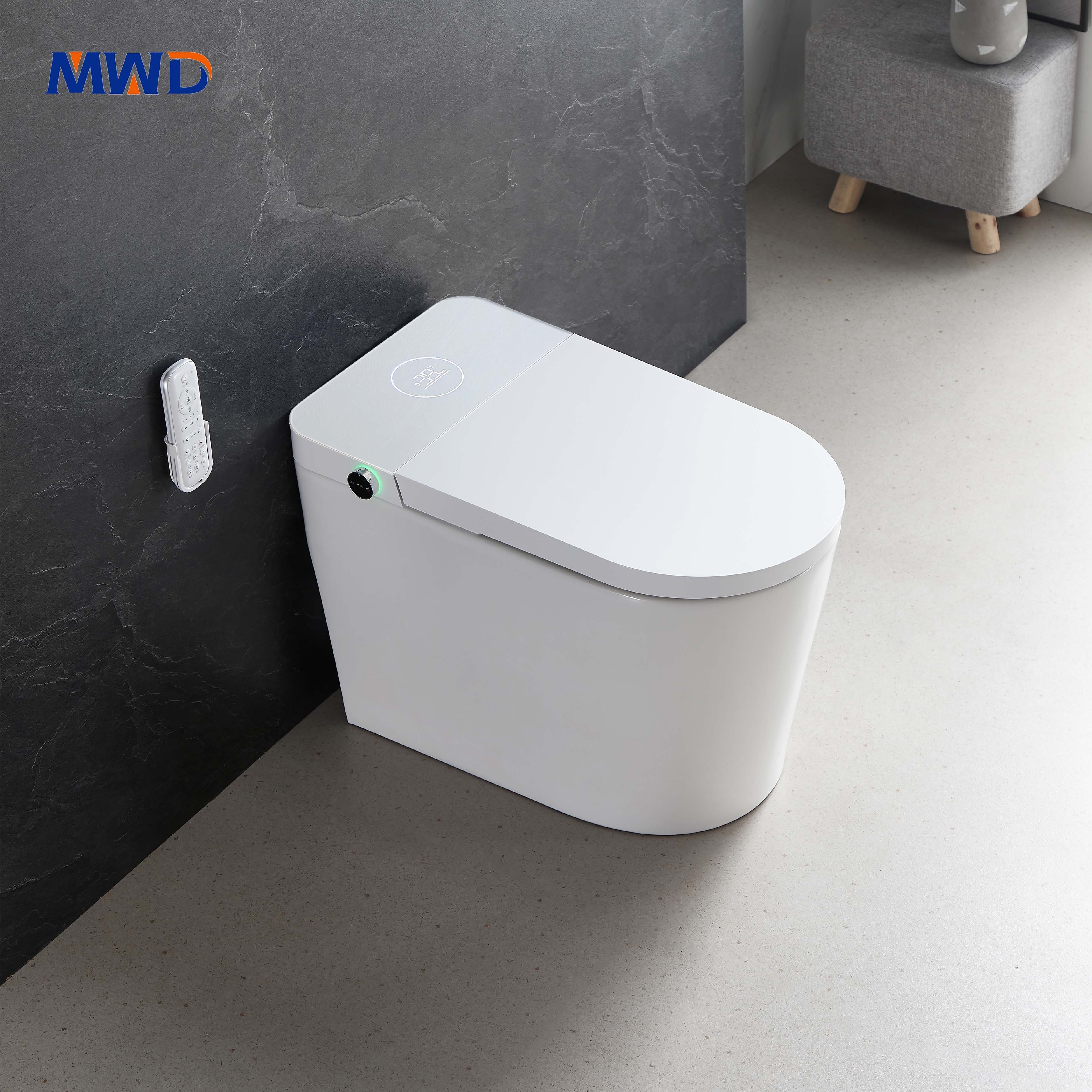 smart toilet