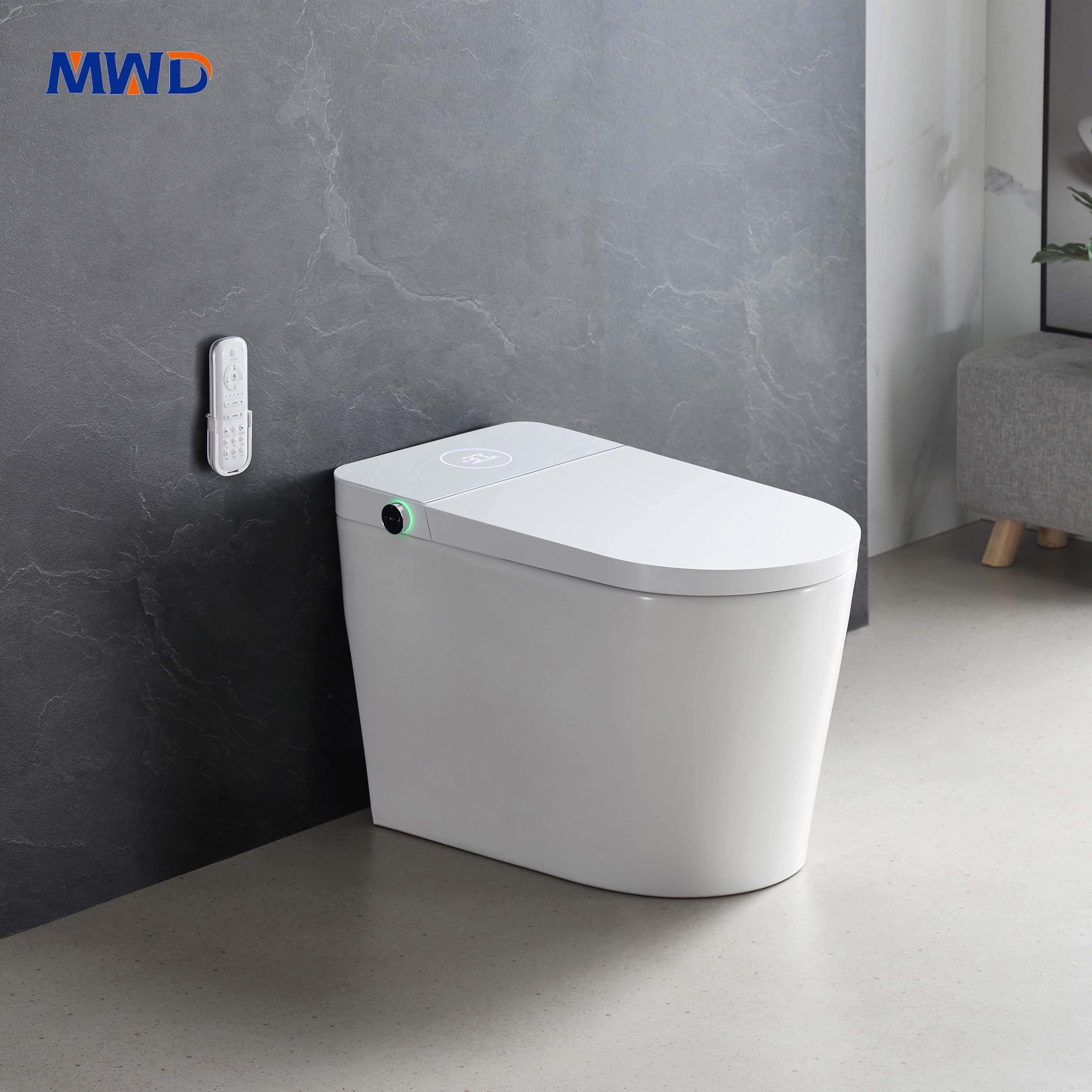 smart toilet