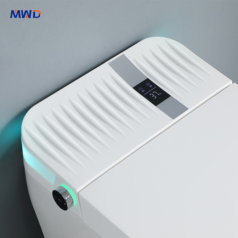 led display toilet