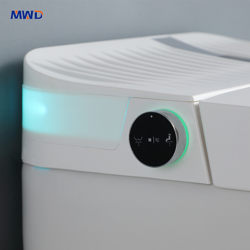 smart toilet