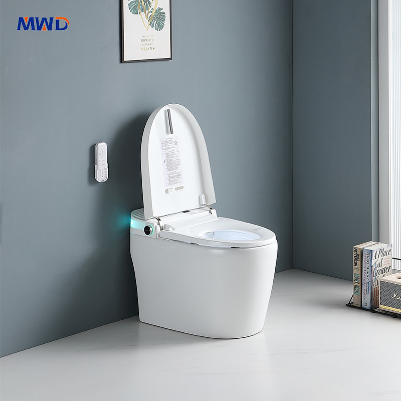 smart toilet
