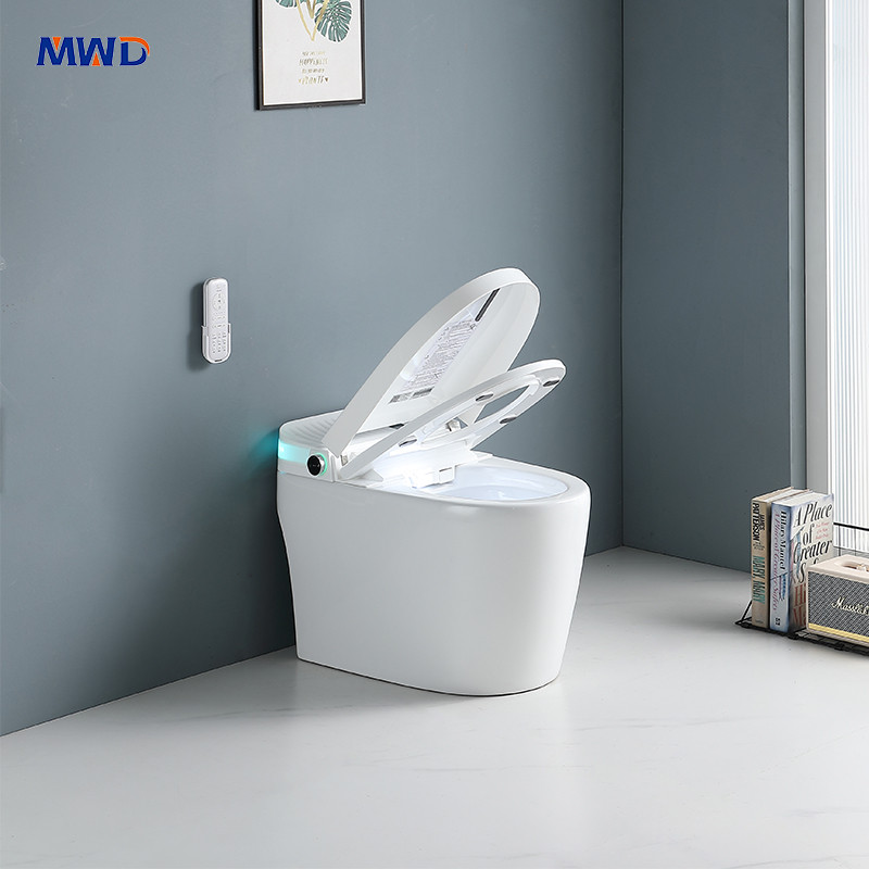 smart one-piece toilet