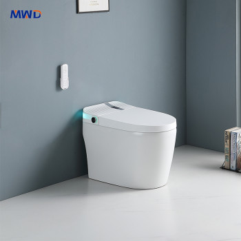 MWD STW111  Smart One-Piece Toilet with Bidet & Heated Seat