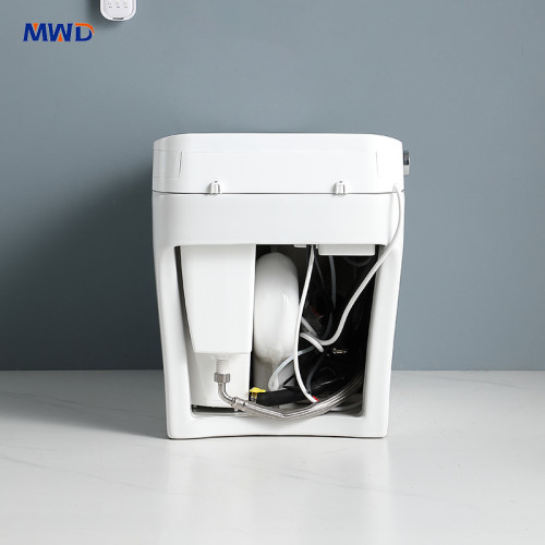MWD STW111  Smart One-Piece Toilet with Bidet & Heated Seat