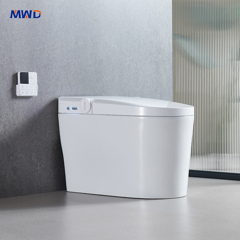 smart one-piece toilet