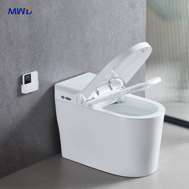 smart toilet