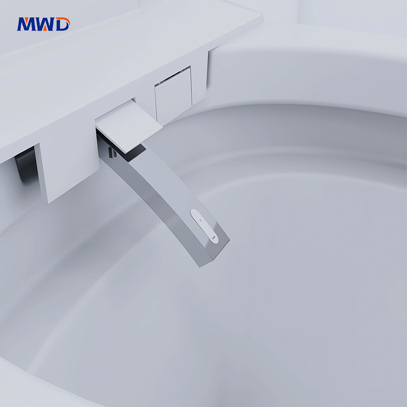 hip washing toilet