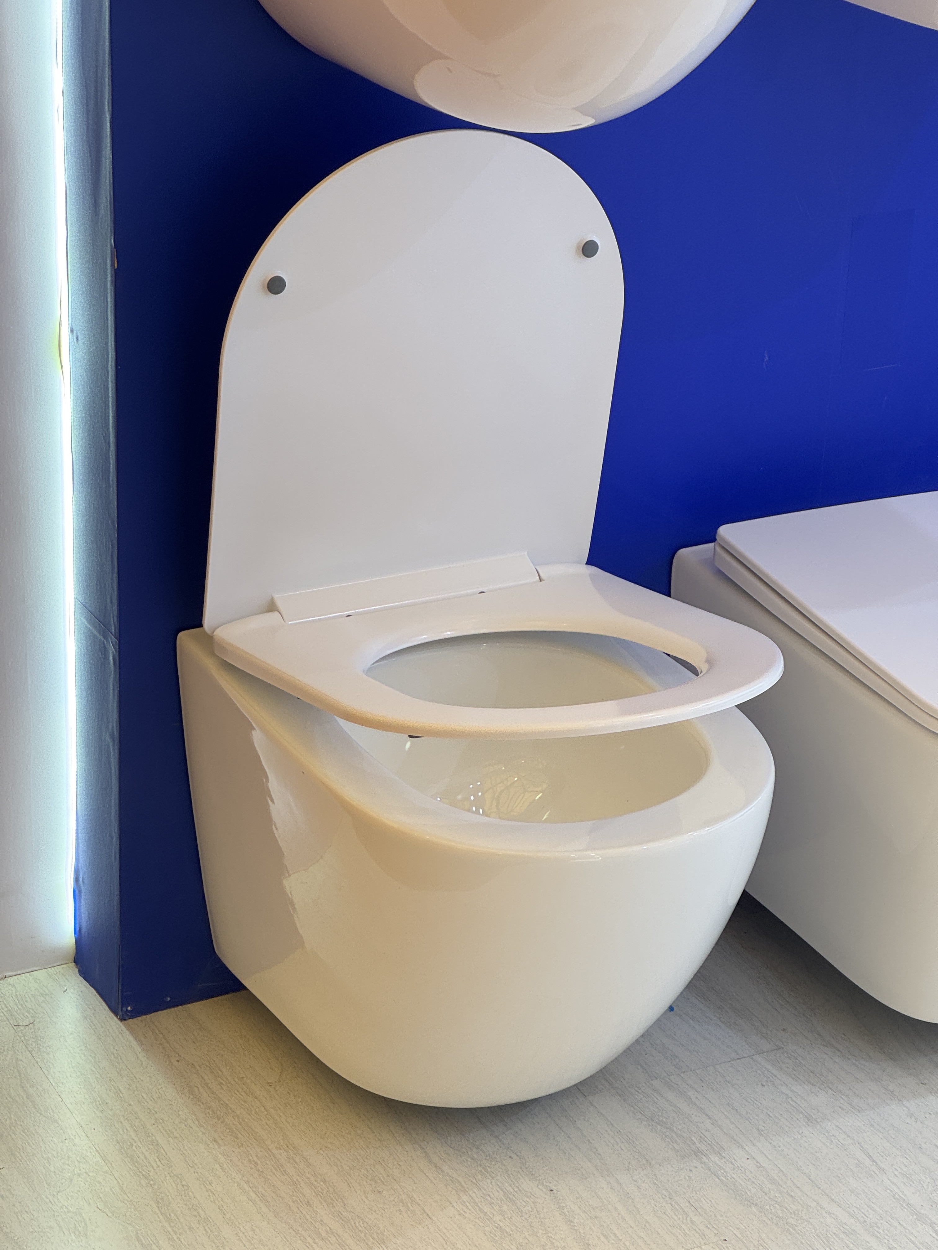 wall hung toilet