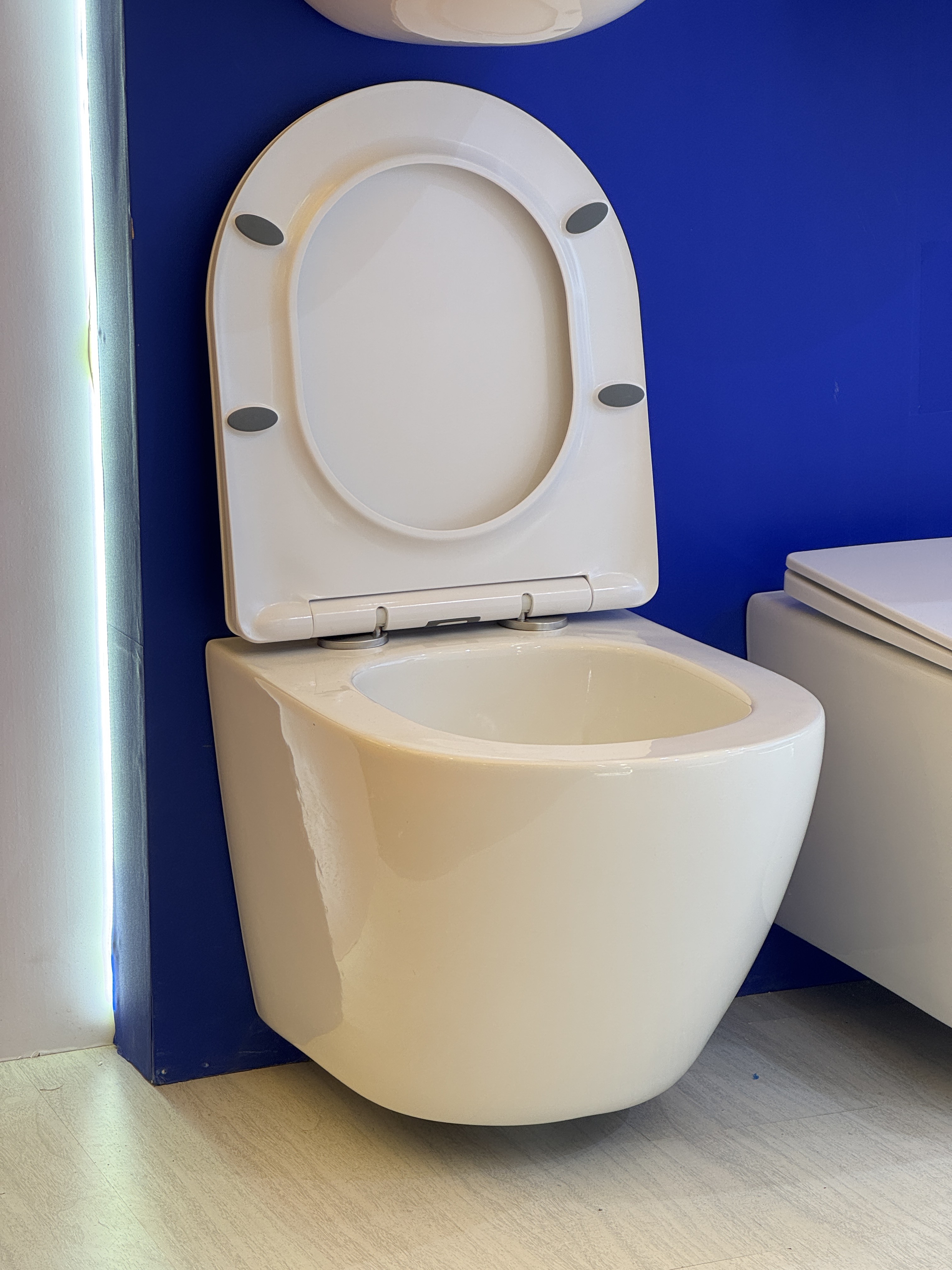 wall hung toilet
